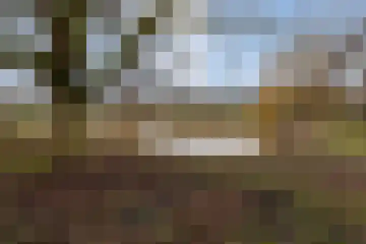 Lambertijnenlaan 91 Bergen op Zoom thumbnail 36