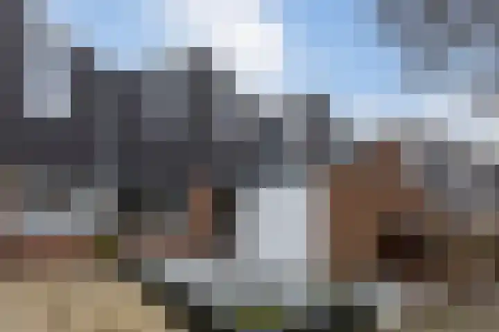 Lambertijnenlaan 91 Bergen op Zoom thumbnail 5
