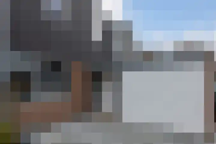 Lambertijnenlaan 91 Bergen op Zoom thumbnail 6