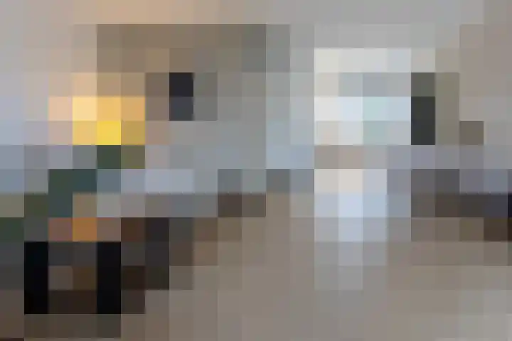 Lambertijnenlaan 91 Bergen op Zoom thumbnail 9