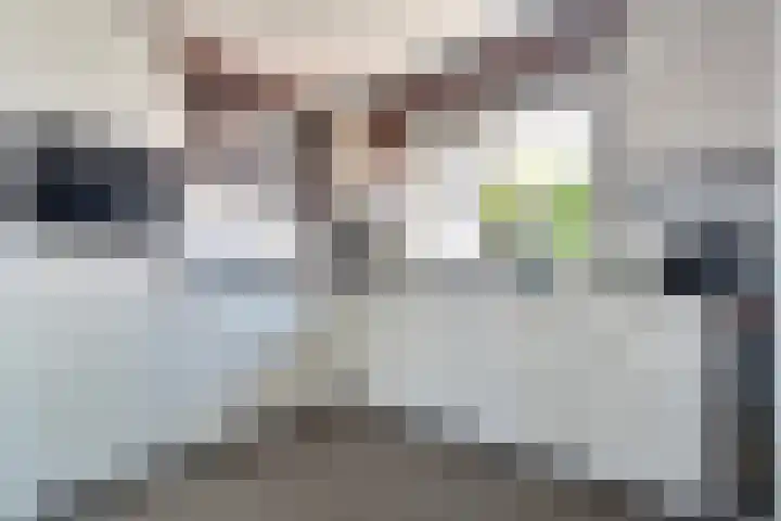 Lambertinck 19 Den Ham thumbnail 13