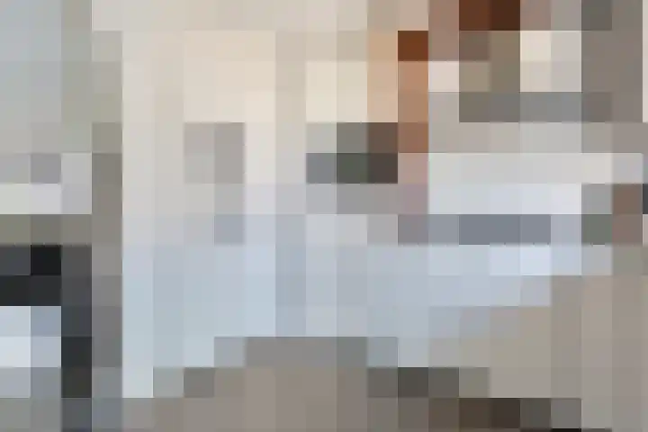 Lambertinck 19 Den Ham thumbnail 14