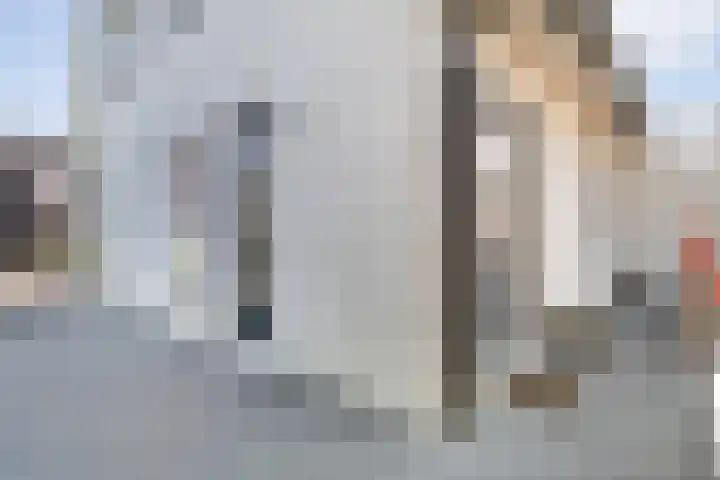 Lambertinck 19 Den Ham thumbnail 31