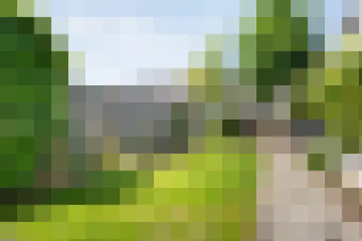 Lambertinck 19 Den Ham thumbnail 33