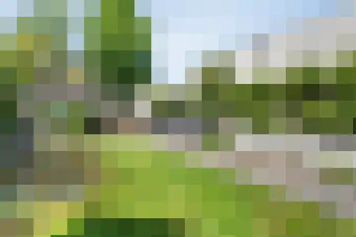 Lambertinck 19 Den Ham thumbnail 34