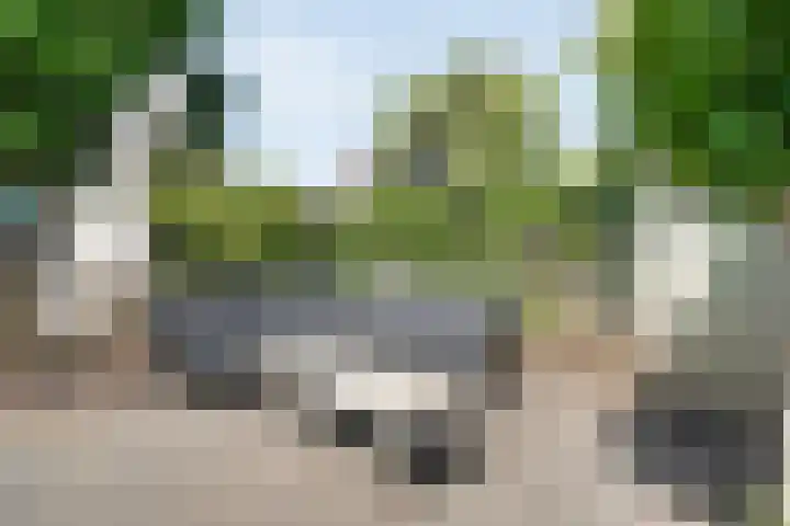 Lambertinck 19 Den Ham thumbnail 35