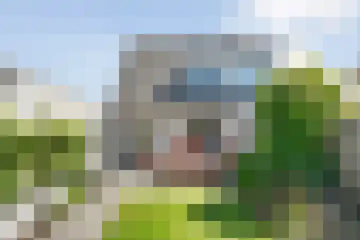 Lambertinck 19 Den Ham thumbnail 37
