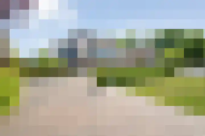 Lambertinck 19 Den Ham thumbnail 4