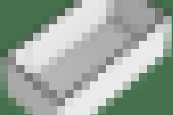 Lambertinck 19 Den Ham thumbnail 48