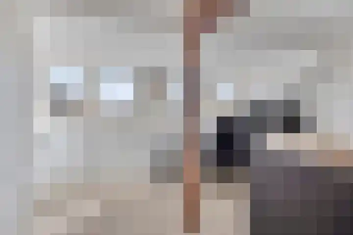 Lambertinck 19 Den Ham thumbnail 7