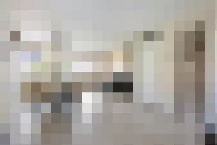 Lambertinck 19 Den Ham thumbnail 7