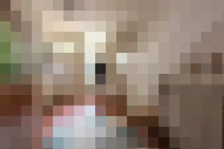 Lambertistraat 5 Kerkrade thumbnail 6