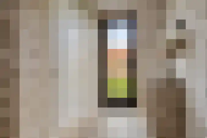 Lambertshoeve 9 Veghel thumbnail 22