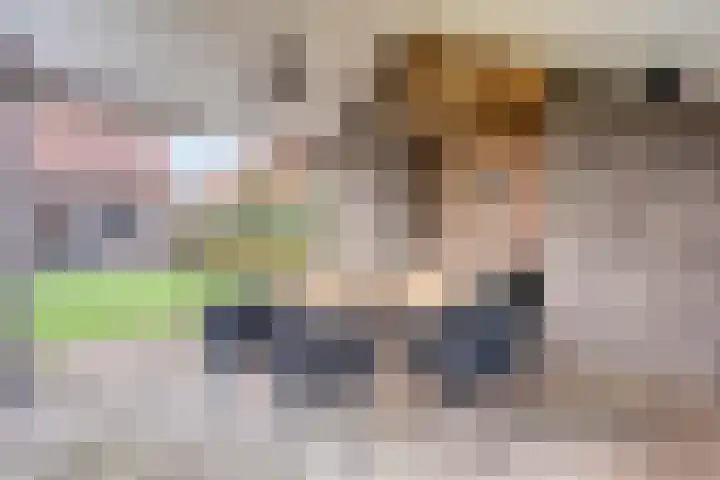 Lambertshoeve 9 Veghel thumbnail 47