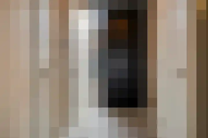 Lambertshoeve 9 Veghel thumbnail 5