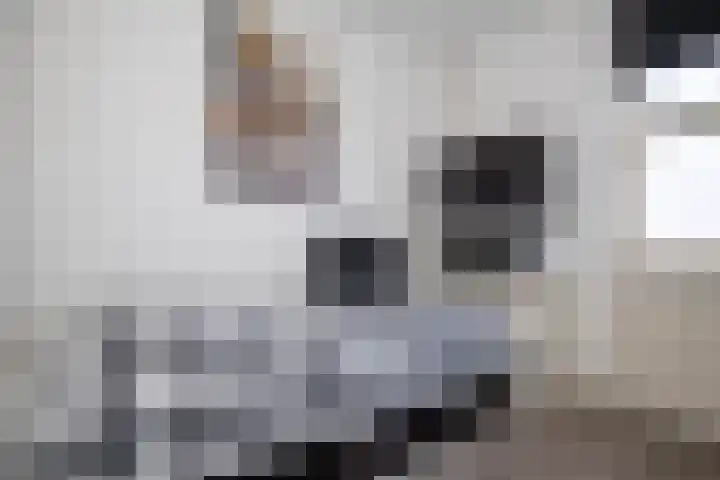 Lambertsveen 15 Eemnes thumbnail 22