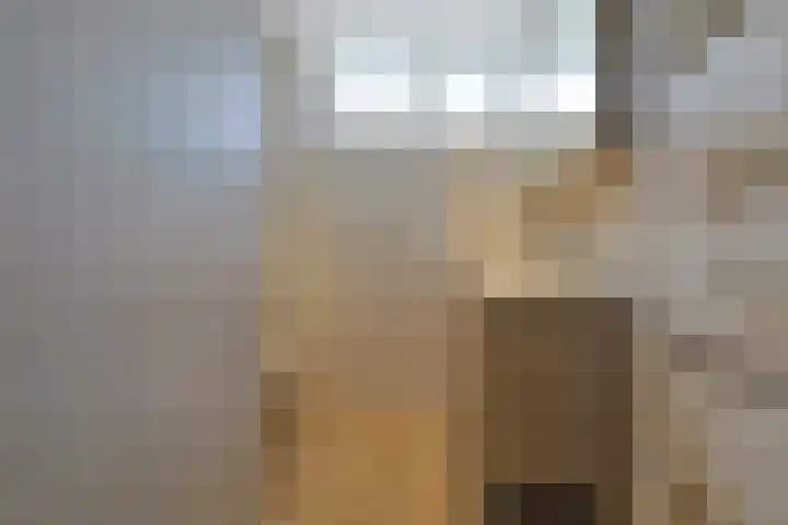 Lambertsveen 15 Eemnes thumbnail 24
