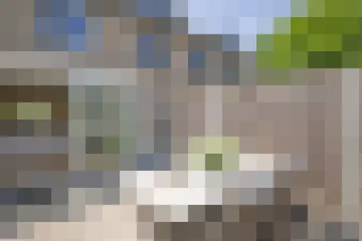 Lambertsveen 15 Eemnes thumbnail 32