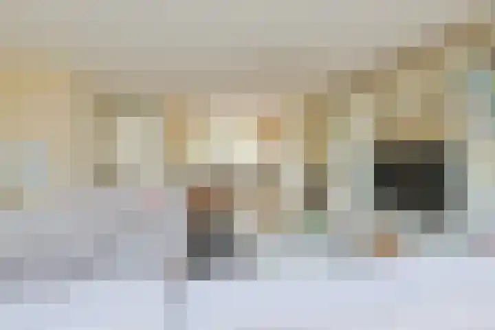 Lambertsveen 15 Eemnes thumbnail 8