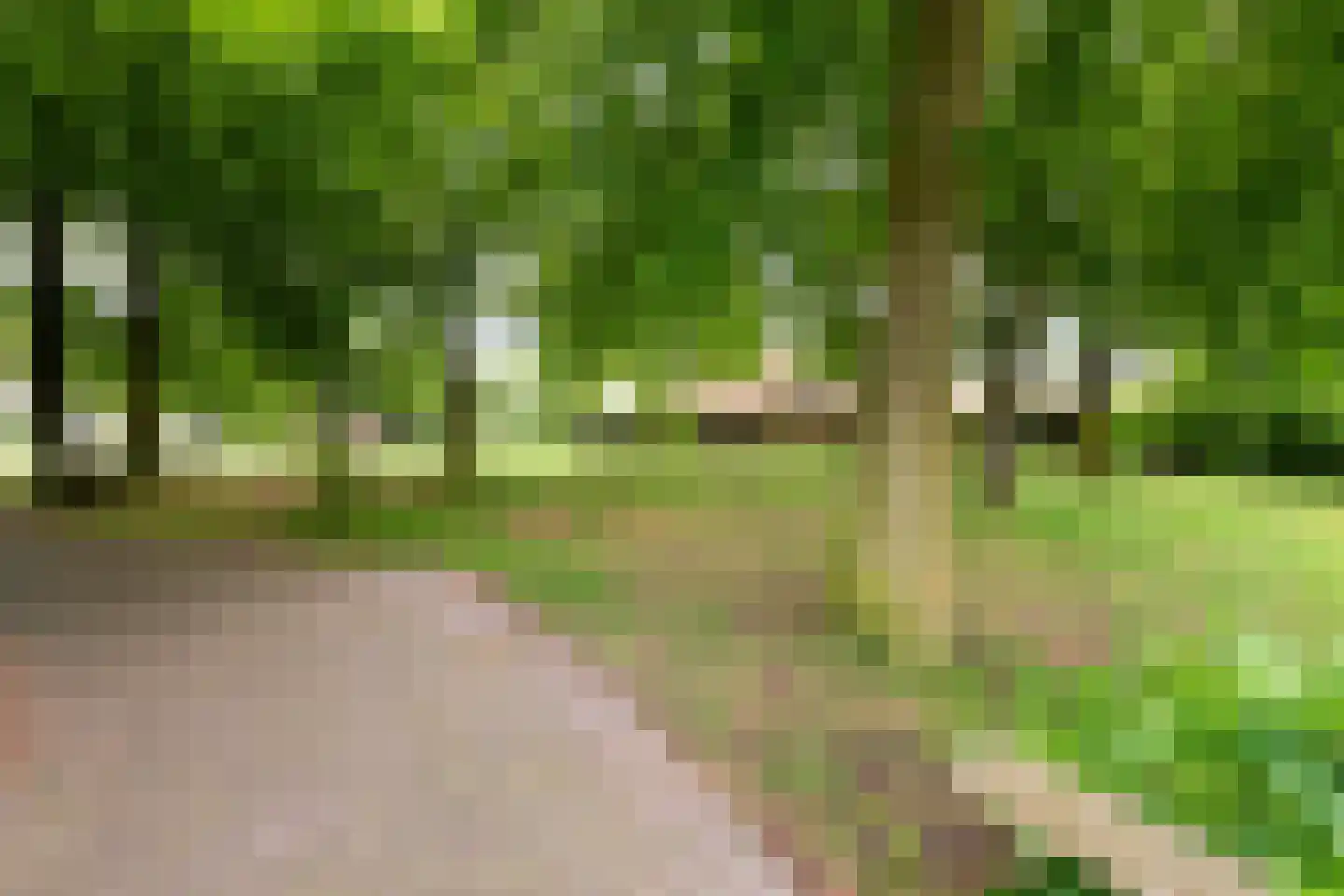 Lambertsveen 35 Eemnes thumbnail 33