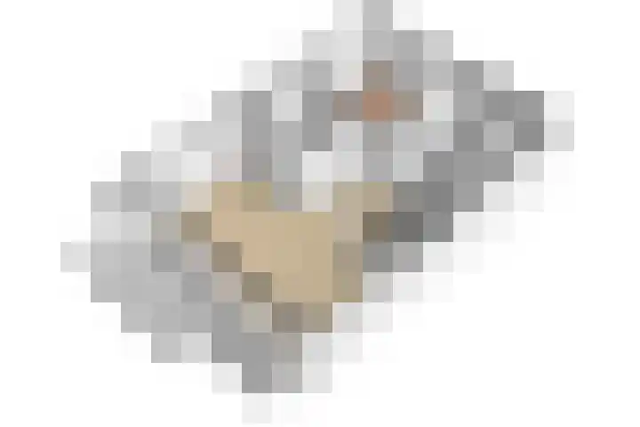 Lambertus Hortensiuslaan 120 Naarden thumbnail 33