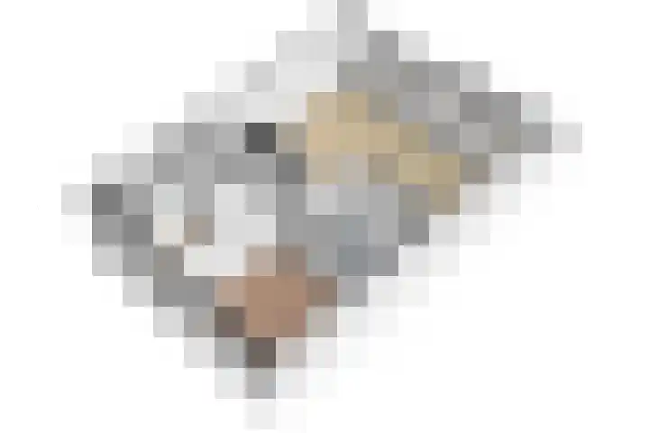 Lambertus Hortensiuslaan 120 Naarden thumbnail 34