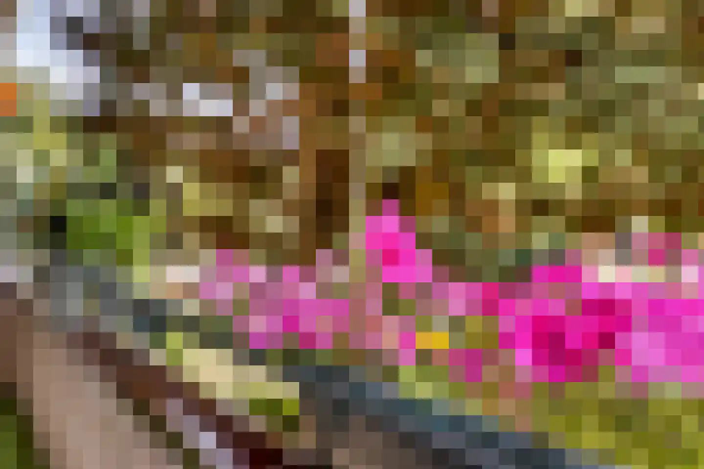 Lambertus Hortensiuslaan 14 Hilversum thumbnail 13