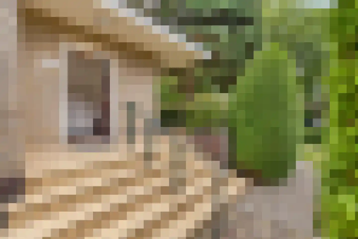 Lambertus Hortensiuslaan 14 Hilversum thumbnail 4