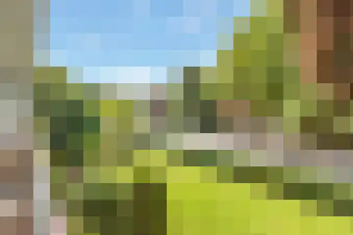 Lambertus Hortensiuslaan 16 Hilversum thumbnail 10