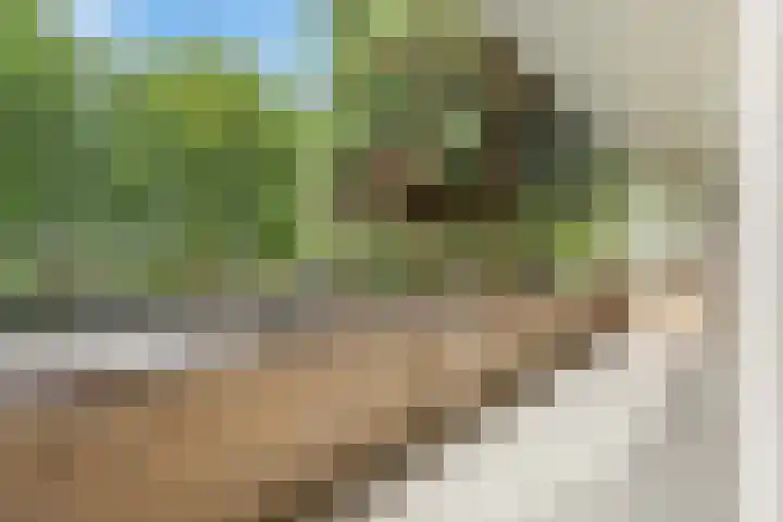 Lambertus Hortensiuslaan 16 Hilversum thumbnail 9