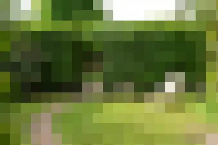 Lambertus Hortensiuslaan 19 Naarden thumbnail 31