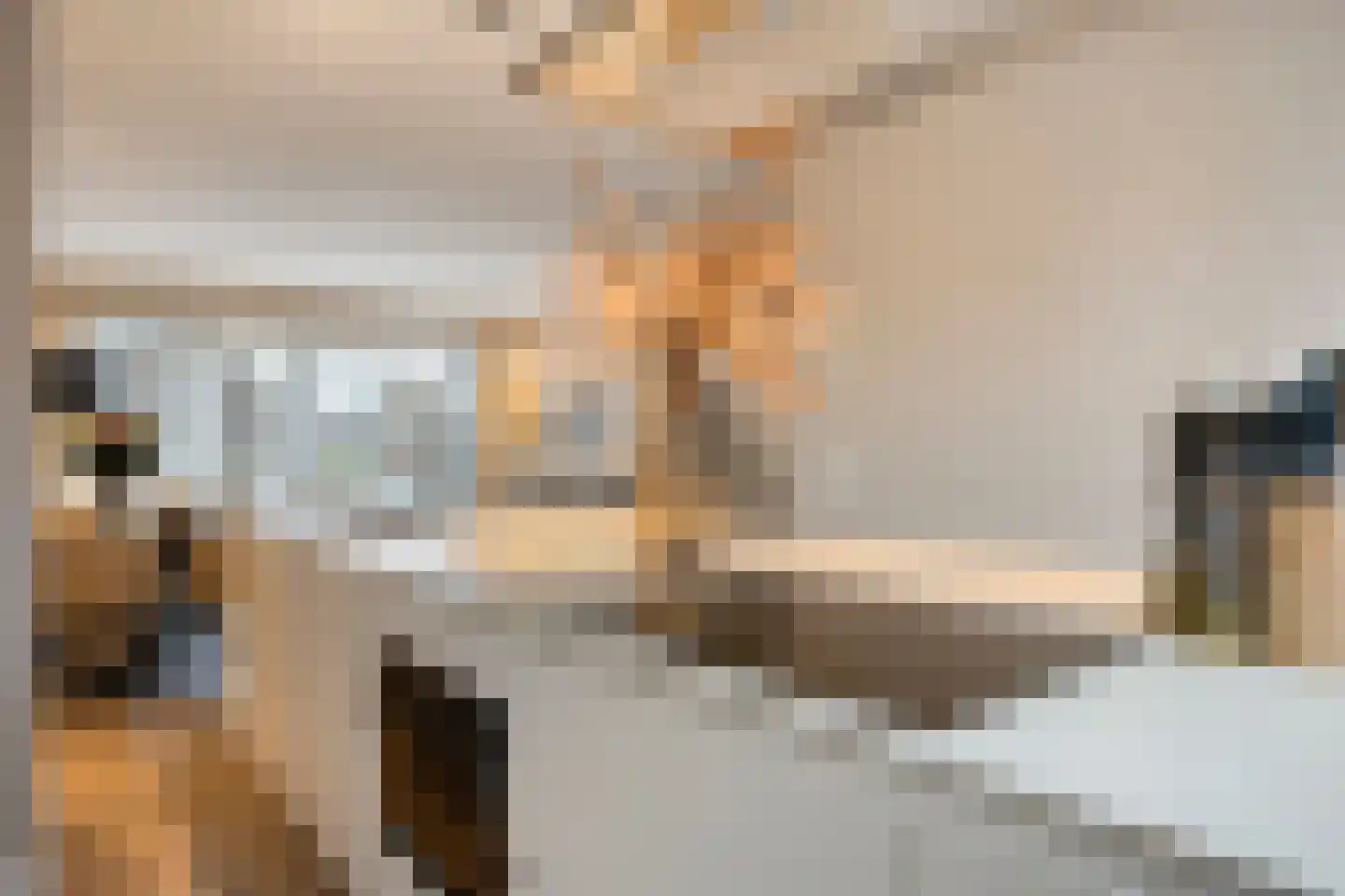 Lambertus Huisengastraat 149 Purmerend thumbnail 18