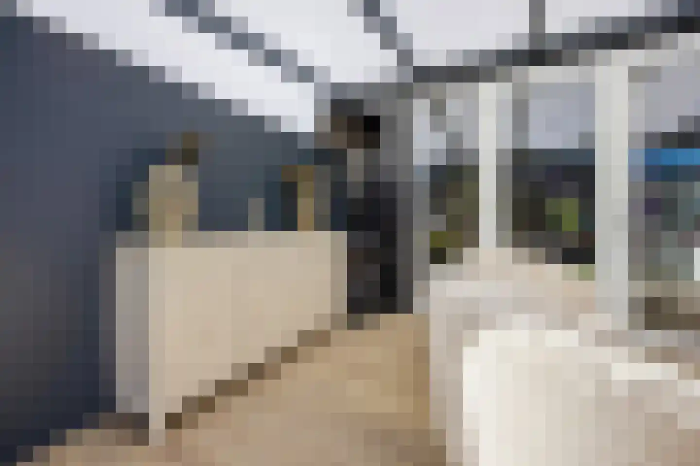Lambertus van der Meerstraat 2 Achtmaal thumbnail 20