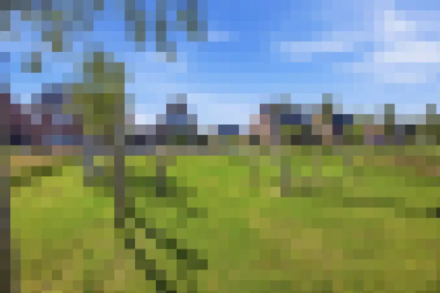 Lambertus van der Meerstraat 2 Achtmaal thumbnail 46