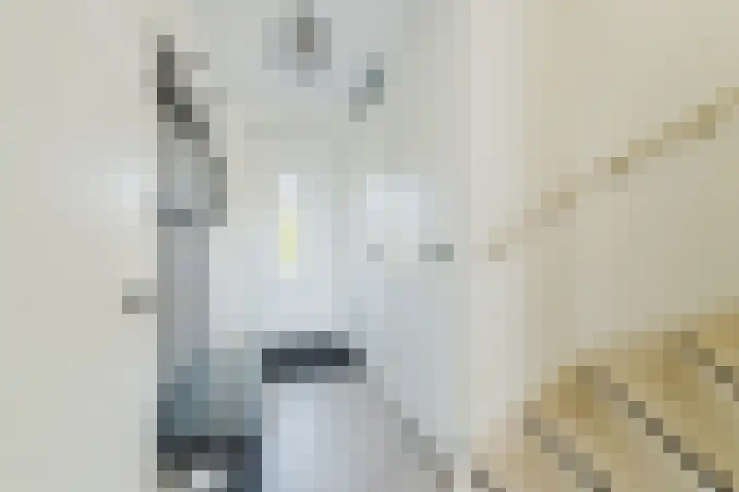 Lambertus van der Meerstraat 4 Achtmaal thumbnail 10