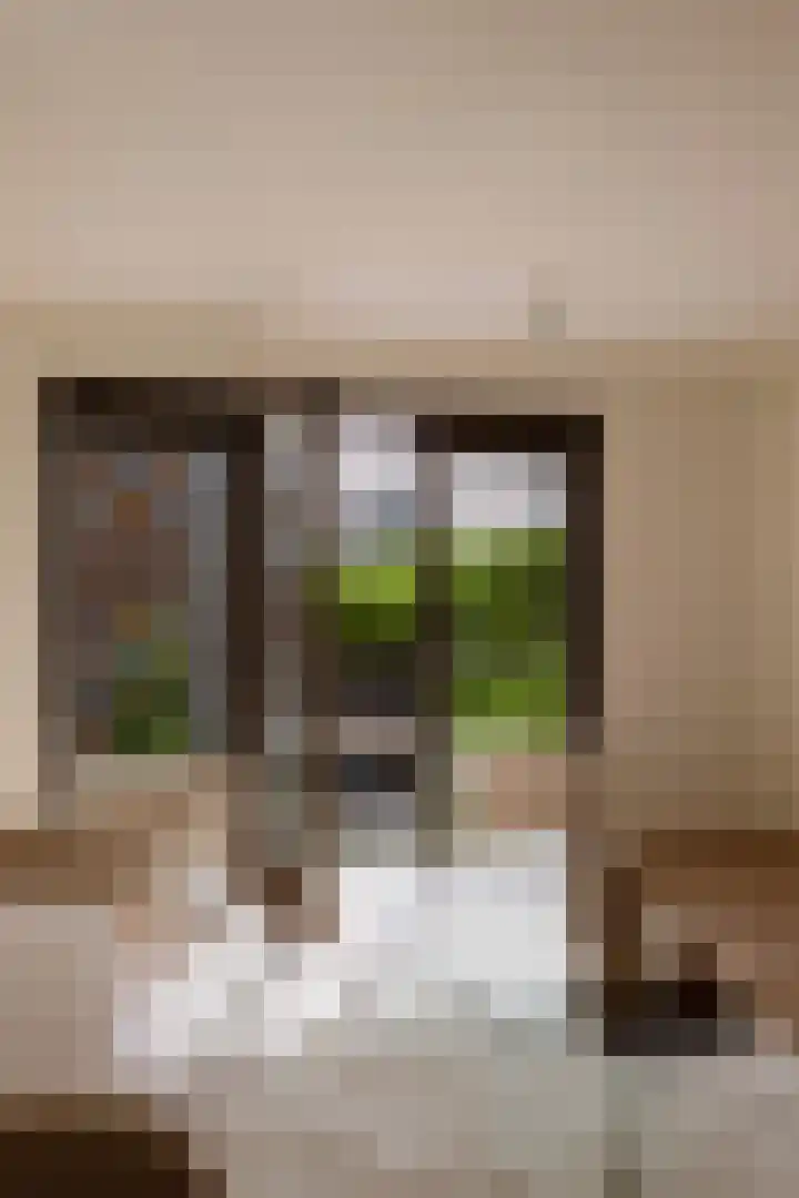 Lambertus Zijlplein 85 Amsterdam thumbnail 11