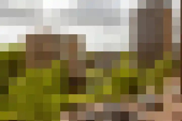 Lambertus Zijlplein 85 Amsterdam thumbnail 24
