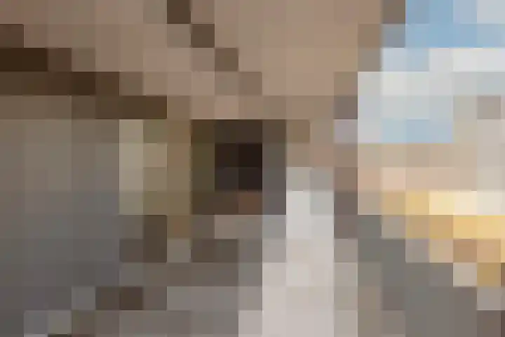 Lambertus Zijlplein 85 Amsterdam thumbnail 4