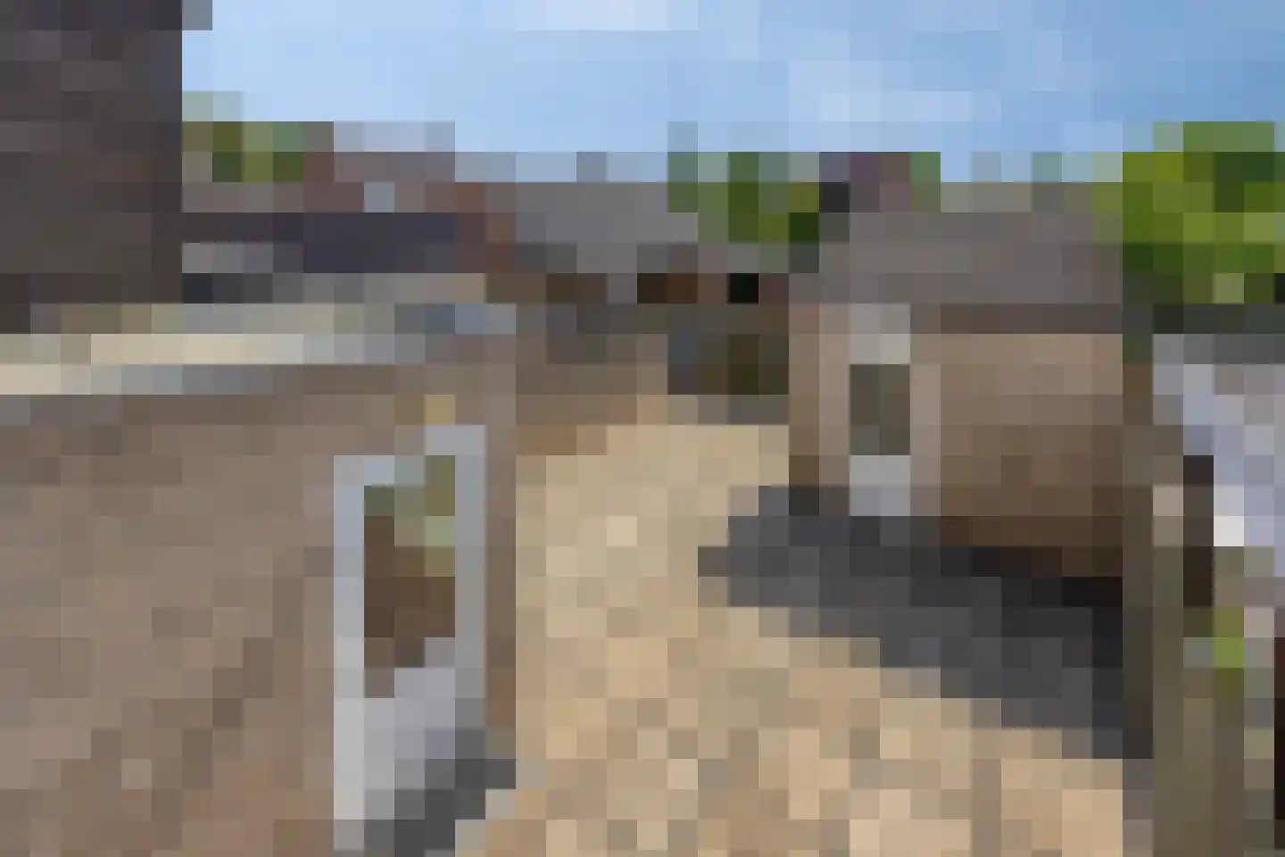 Lambertusheufke 9 Neeritter thumbnail 26