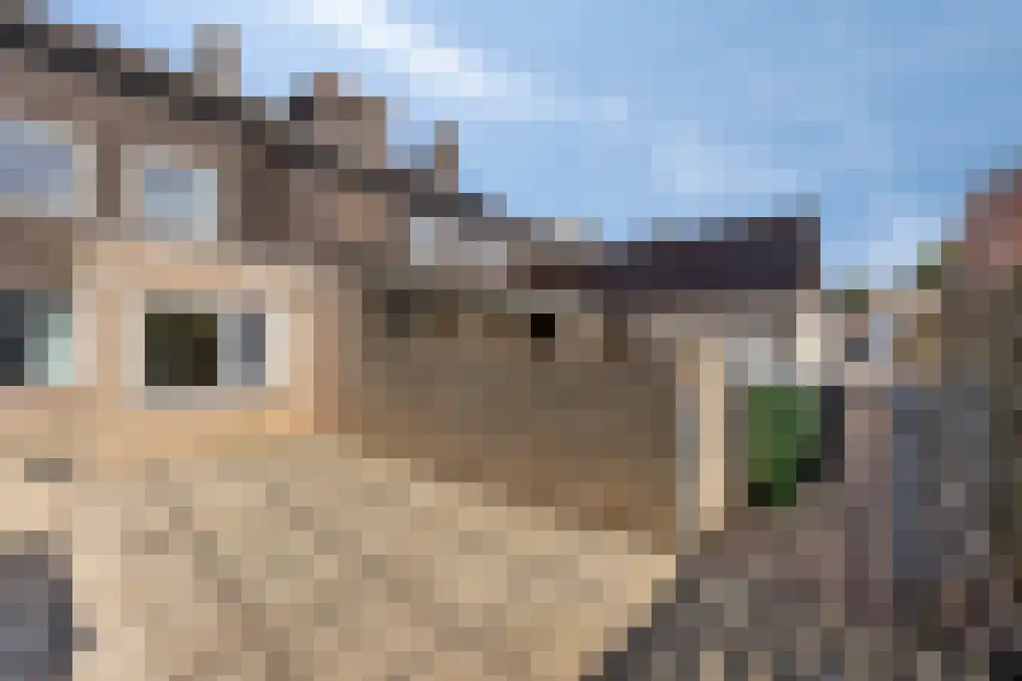 Lambertusheufke 9 Neeritter thumbnail 31