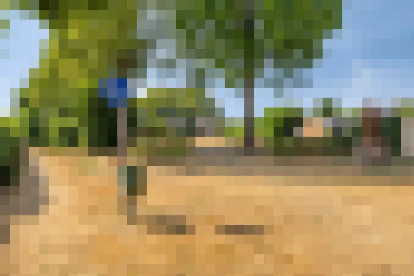 Lambertusheufke 9 Neeritter thumbnail 39