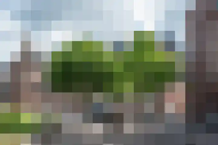 Lambertushof 10 Helmond thumbnail 10