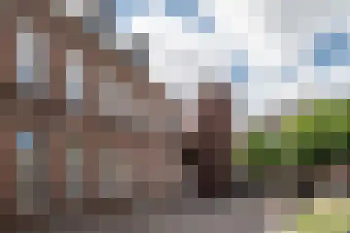 Lambertushof 10 Helmond thumbnail 12