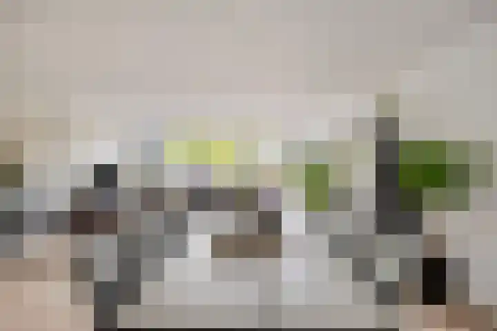 Lambertushof 11 Geldrop thumbnail 18