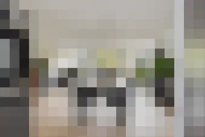 Lambertushof 11 Geldrop thumbnail 19