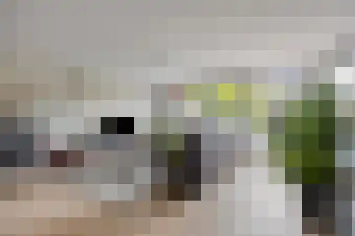 Lambertushof 11 Geldrop thumbnail 22