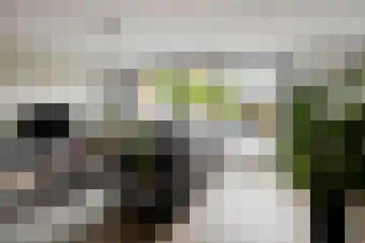 Lambertushof 11 Geldrop thumbnail 23