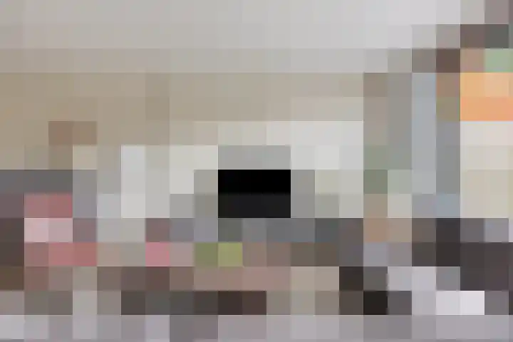 Lambertushof 11 Geldrop thumbnail 25