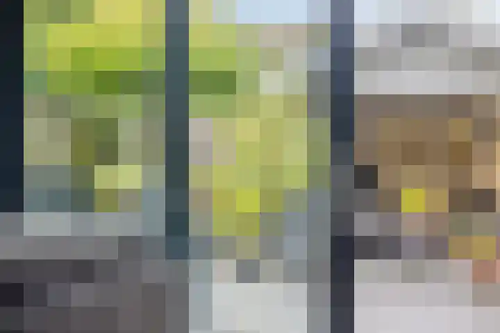 Lambertushof 11 Geldrop thumbnail 28