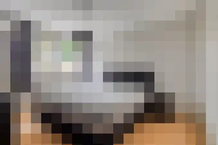 Lambertushof 11 Geldrop foto 3